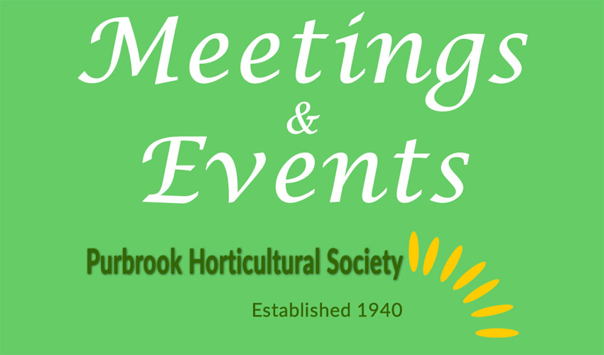 Meetings and Events