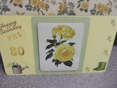 80th Birthday Card